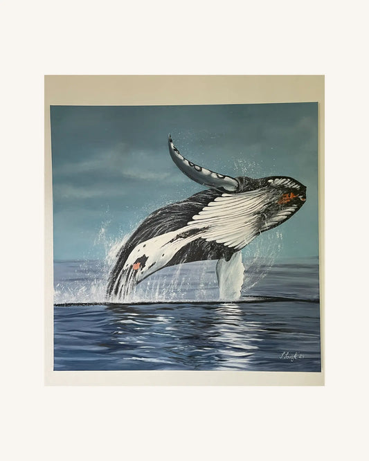 The jumping humpbackwhale 2 0