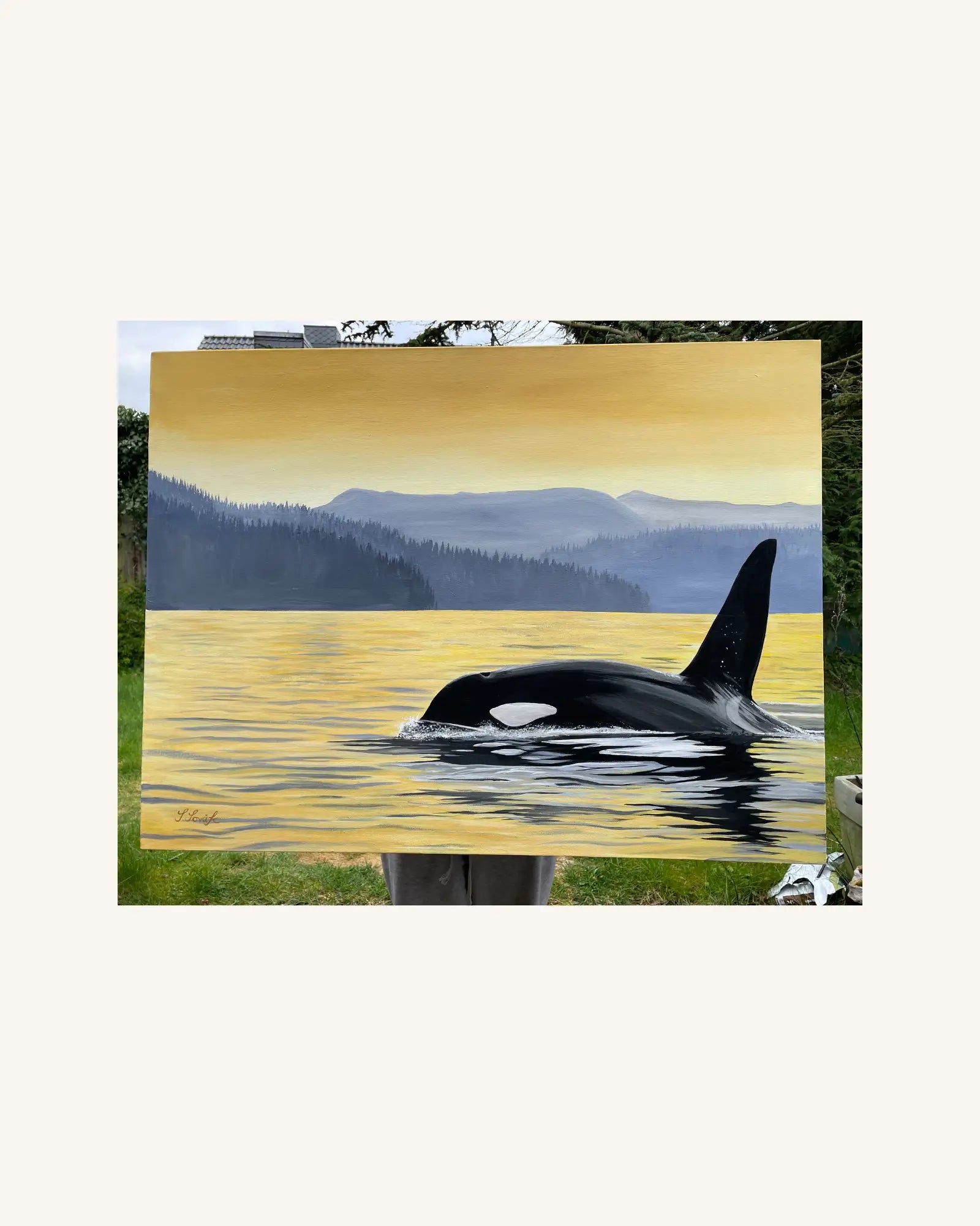 Orca Wal im Fjord 0