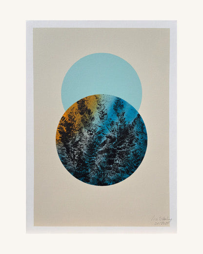 Farn/Fern 0