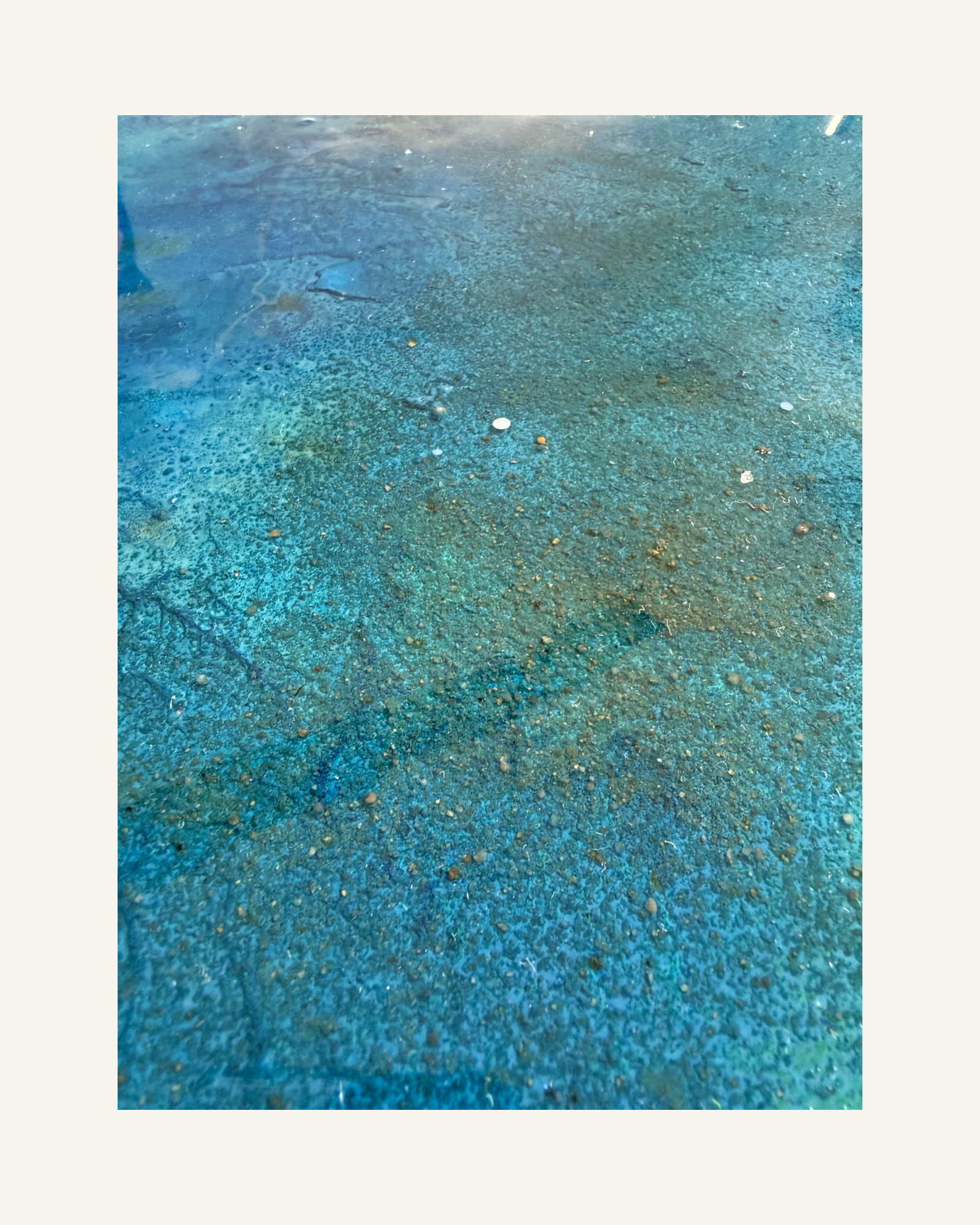 The Ocean Holds You 7