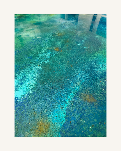 The Ocean Holds You 6