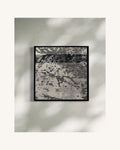 FORESHADOW II 2