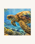 Schildkröte und Korallen 0