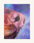 SALE "Juno" 4
