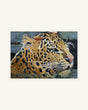 Der Leopard