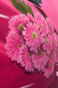 Pink 3
