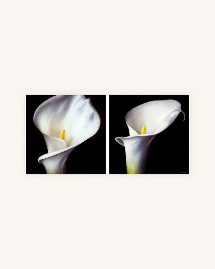 Kleine Calla Diptychon 0