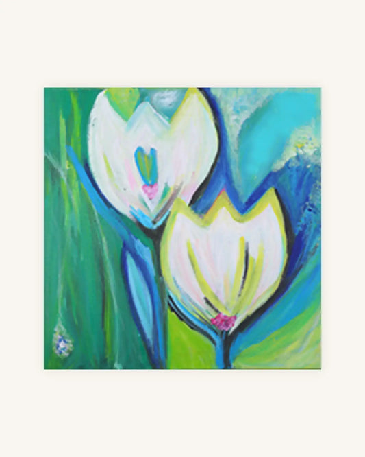 weisse Tulpen 0
