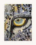 Panthera Pardus 2