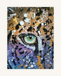 Panthera Pardus 1
