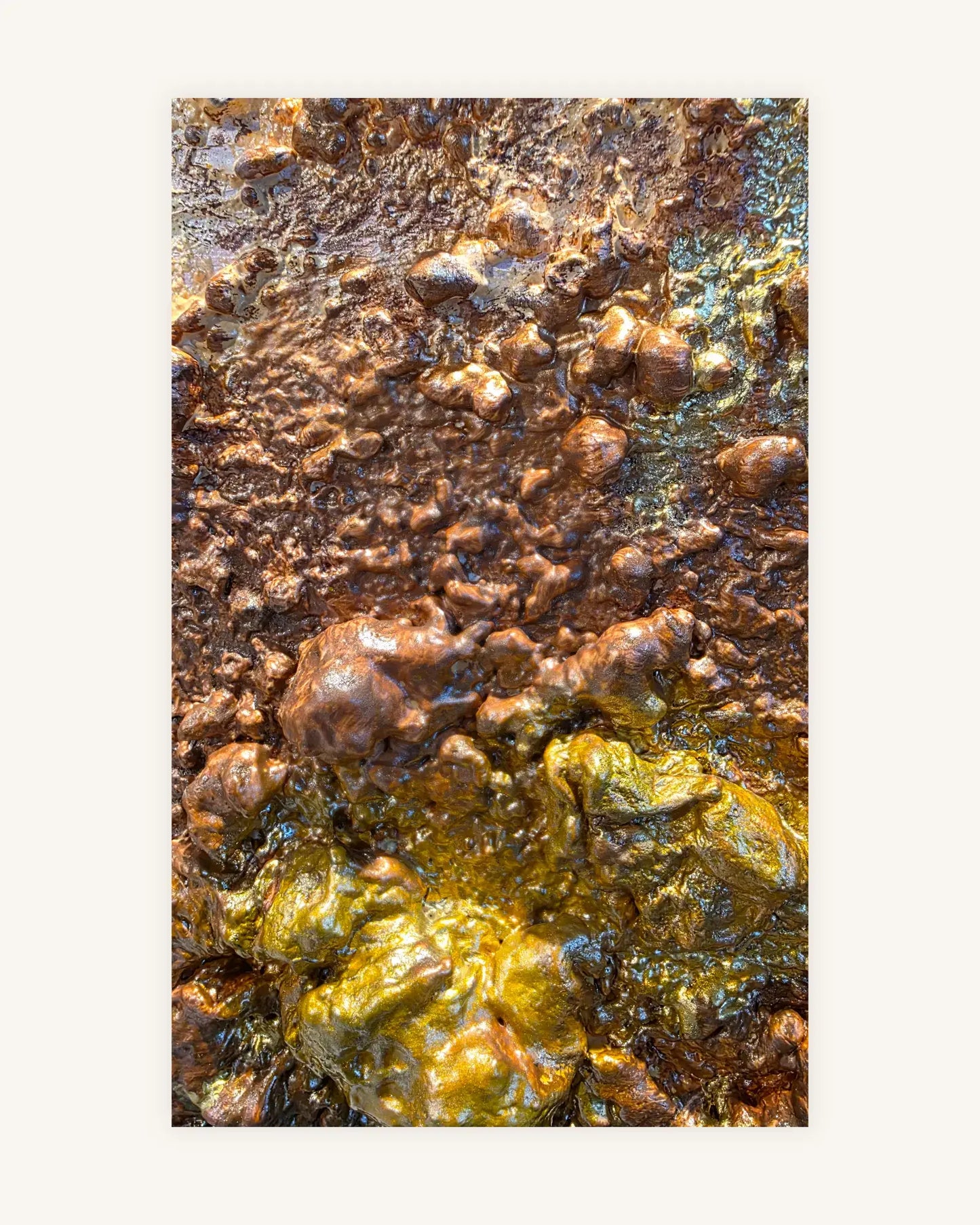 Golden Nugget 3