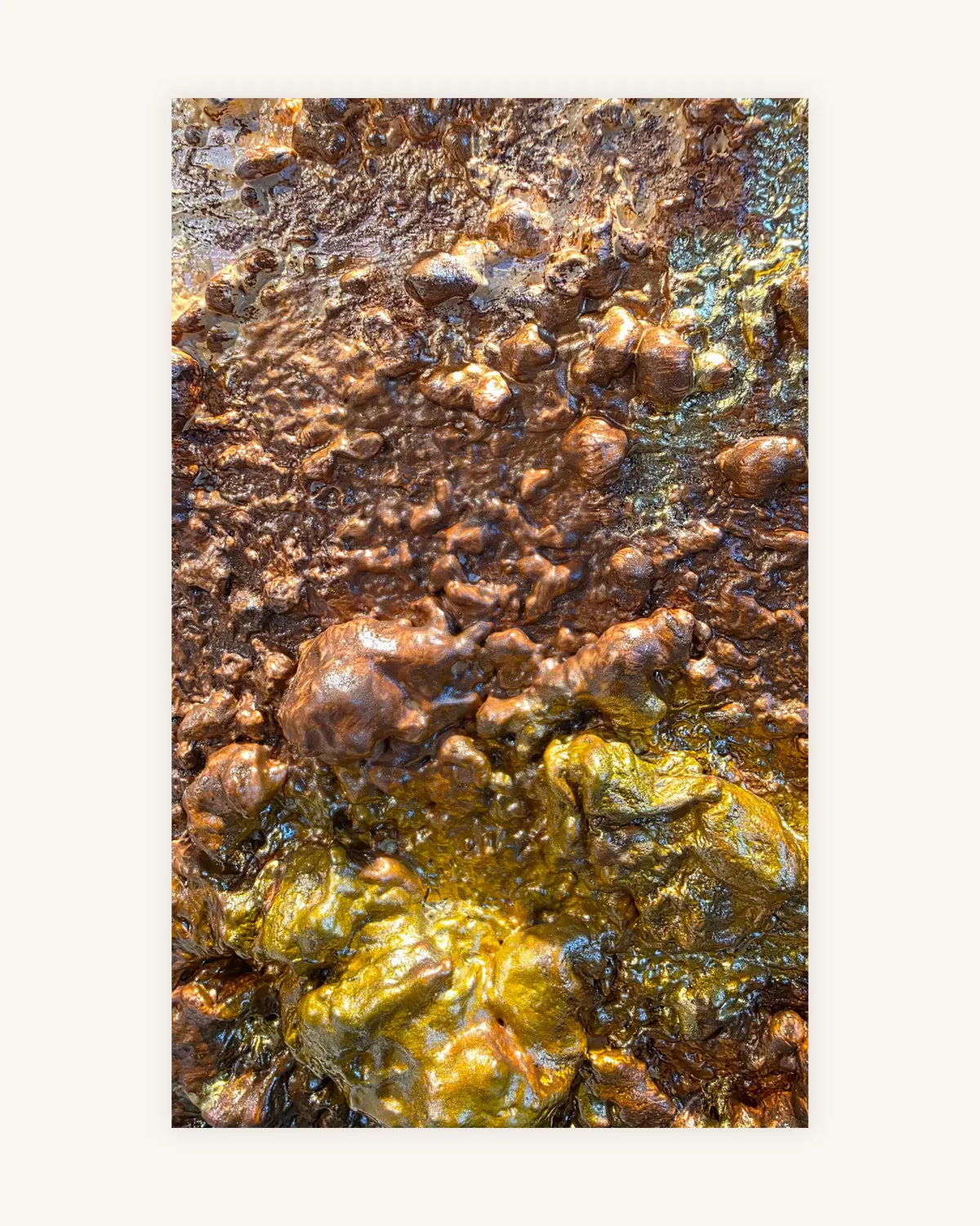 Golden Nugget 3