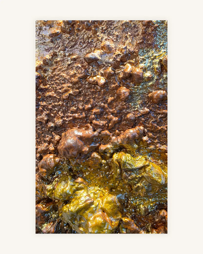 Golden Nugget 3