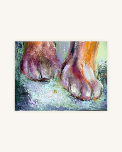 Dakota 5