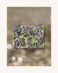 Lime Network 1