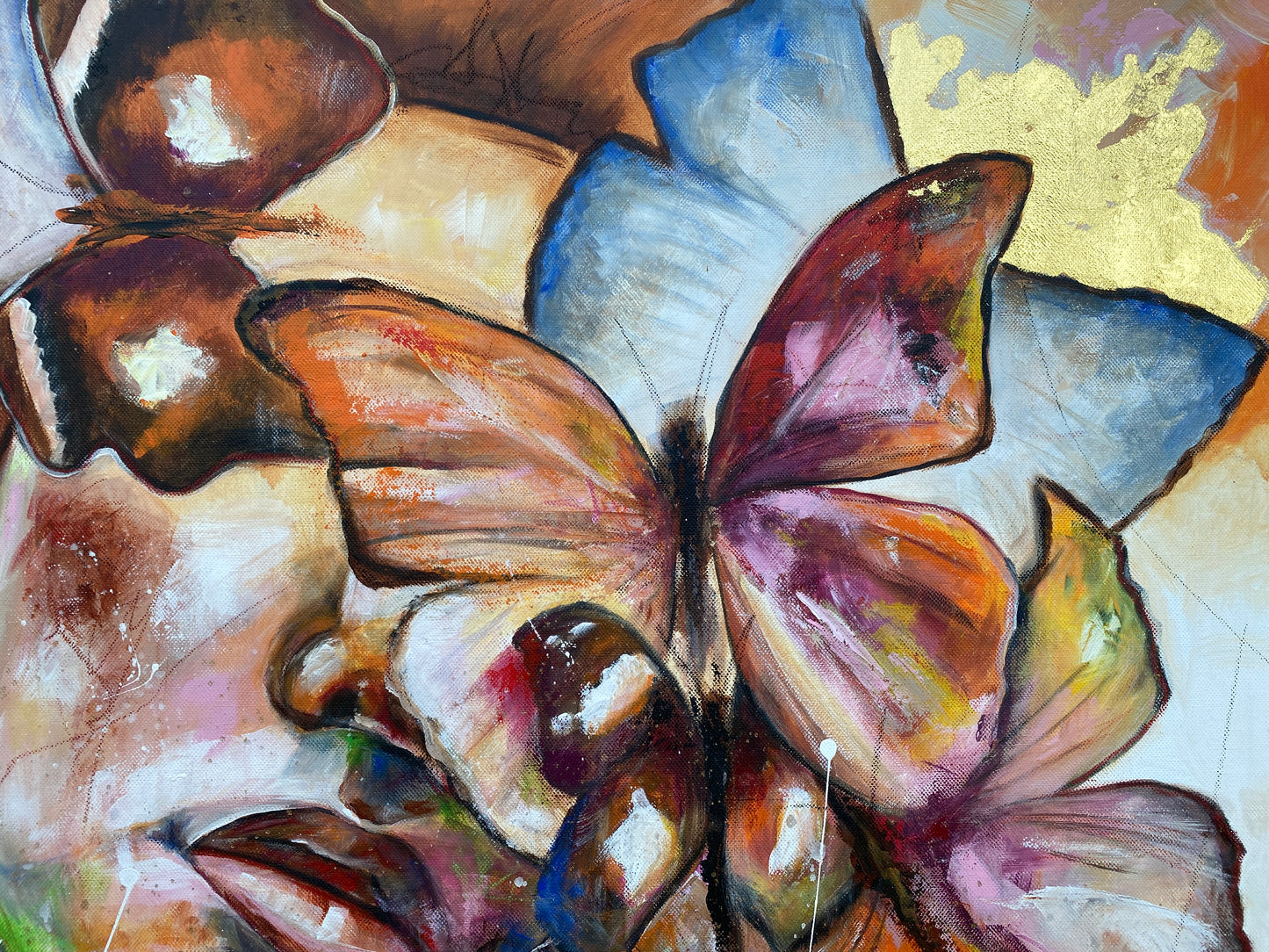 butterflys