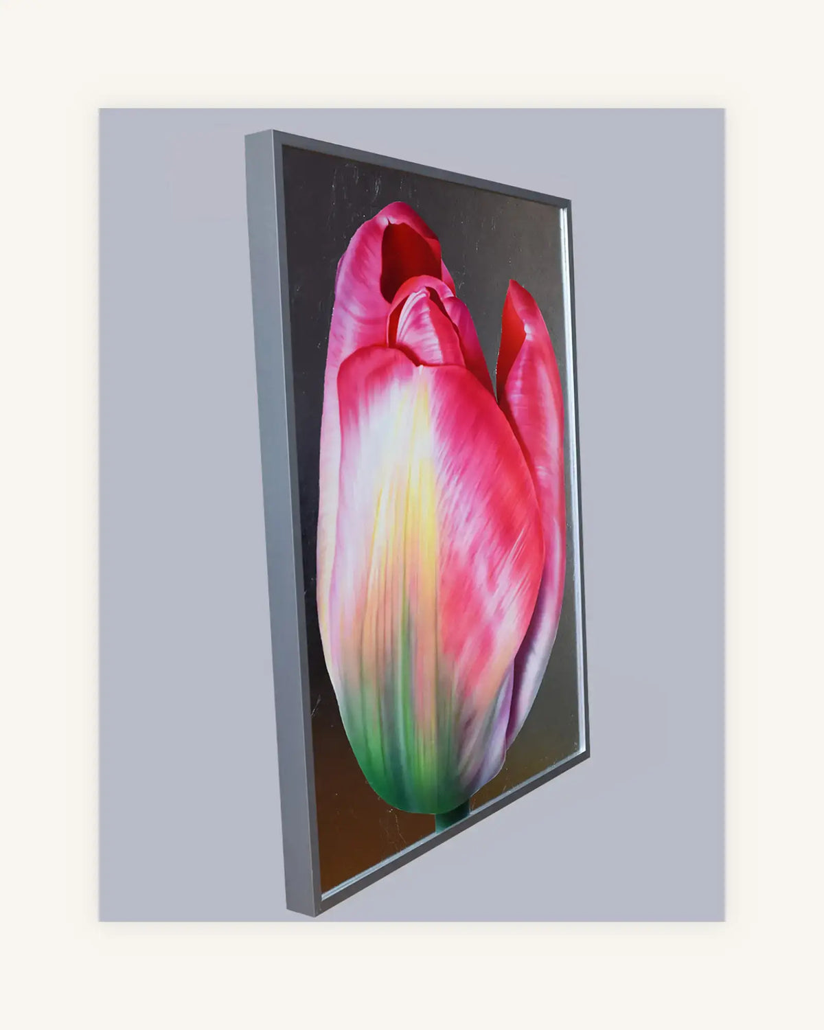 Tulpen Triptychon im Nielsen Alurahmen Silber 2