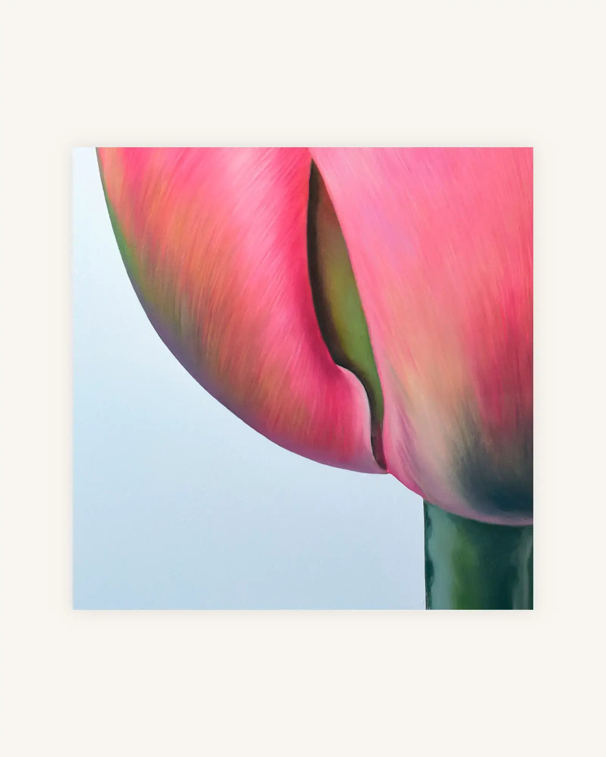 Tulpe No. 1 2