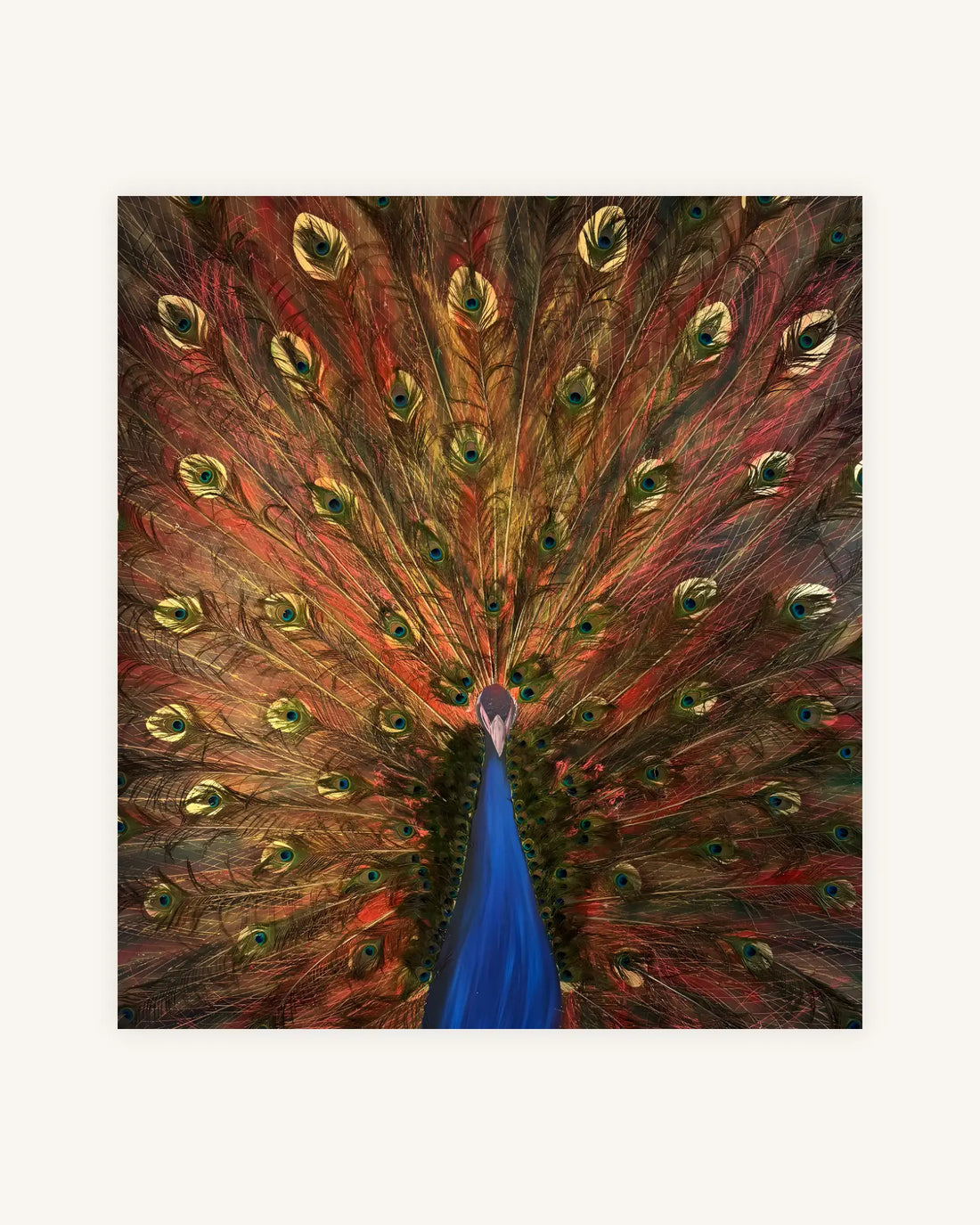 The Peacock from the Ashes