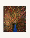 The Peacock from the Ashes 0