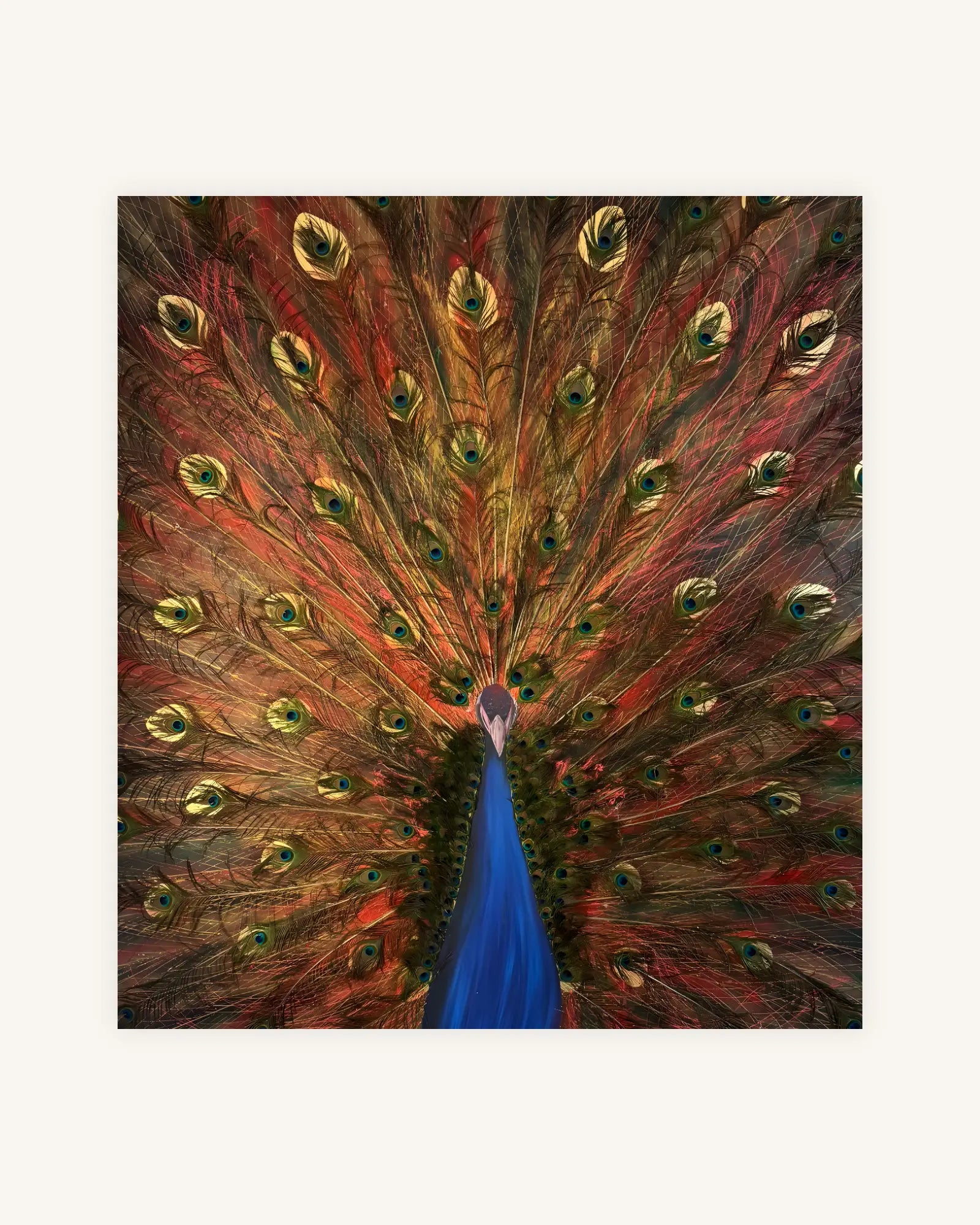 The Peacock from the Ashes 0
