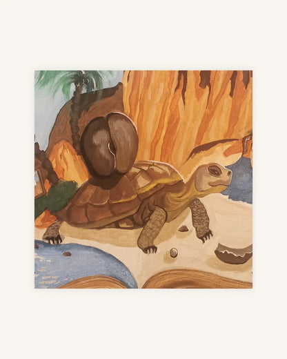 Seychellen 1