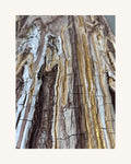 Essence Dorée 3