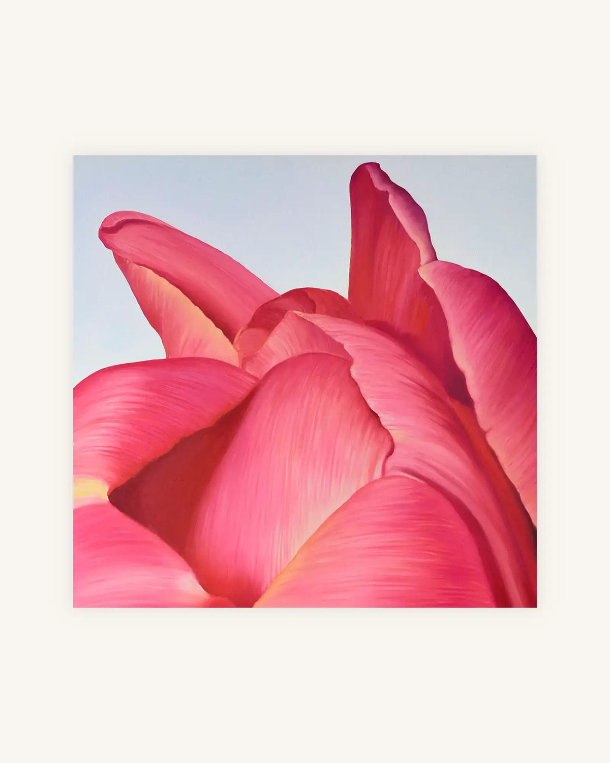Tulpe No. 1 4