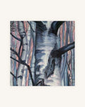 Birkenwald 2