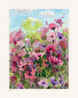 The whispering of the poppy field