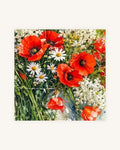 Poppies, lilac and daisies 0