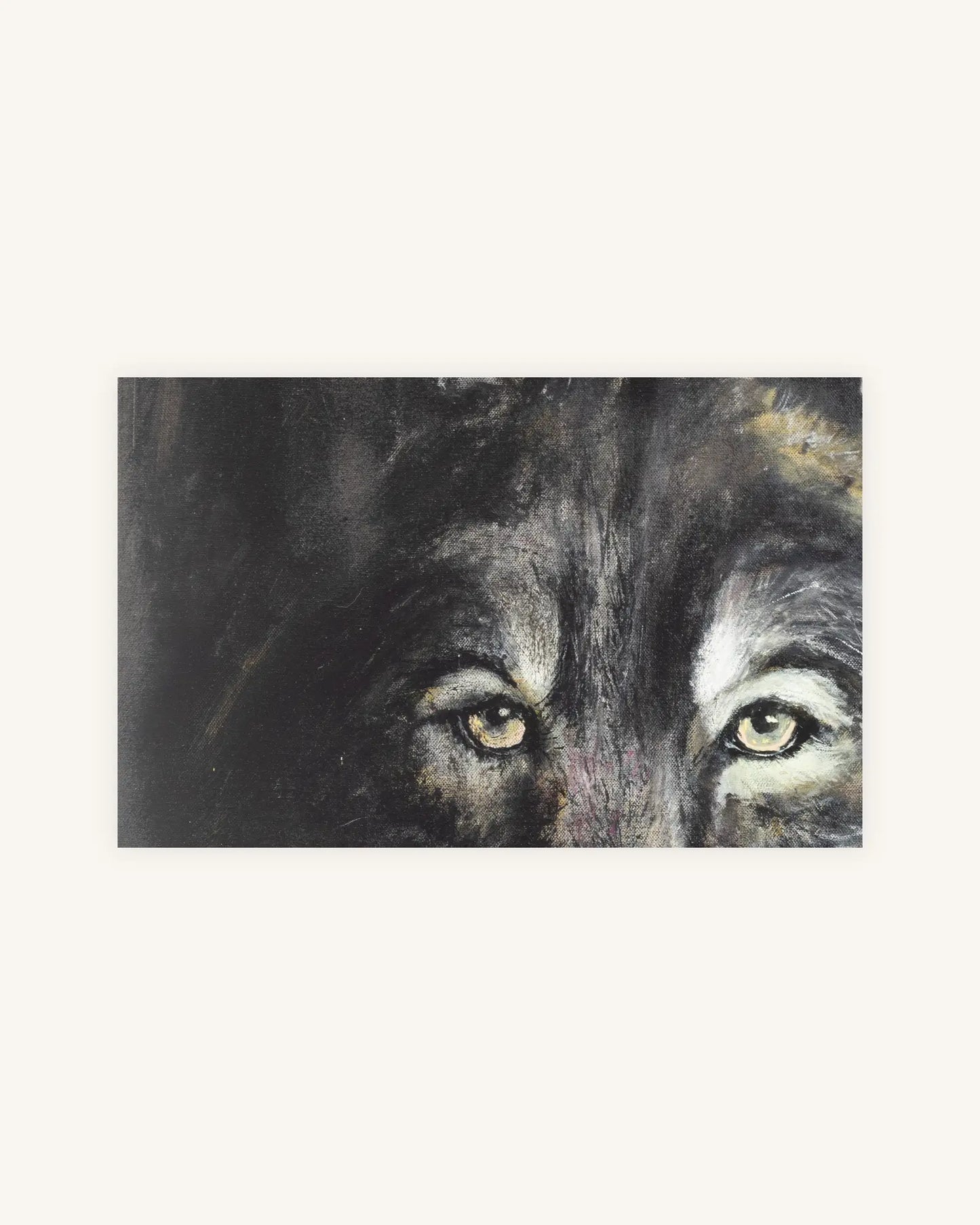 Senhor Lobo 2