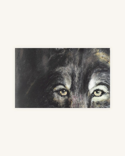 Senhor Lobo 2