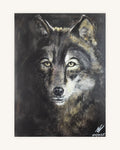 Senhor Lobo 0