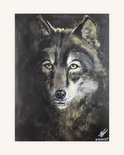 Senhor Lobo 0