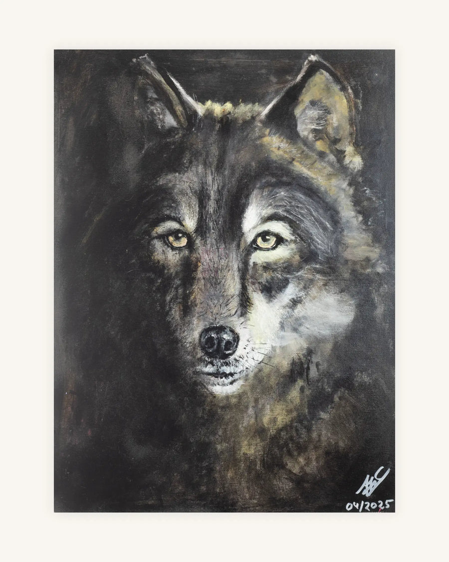 Senhor Lobo 0