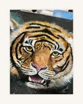 Alma do Tigre 1