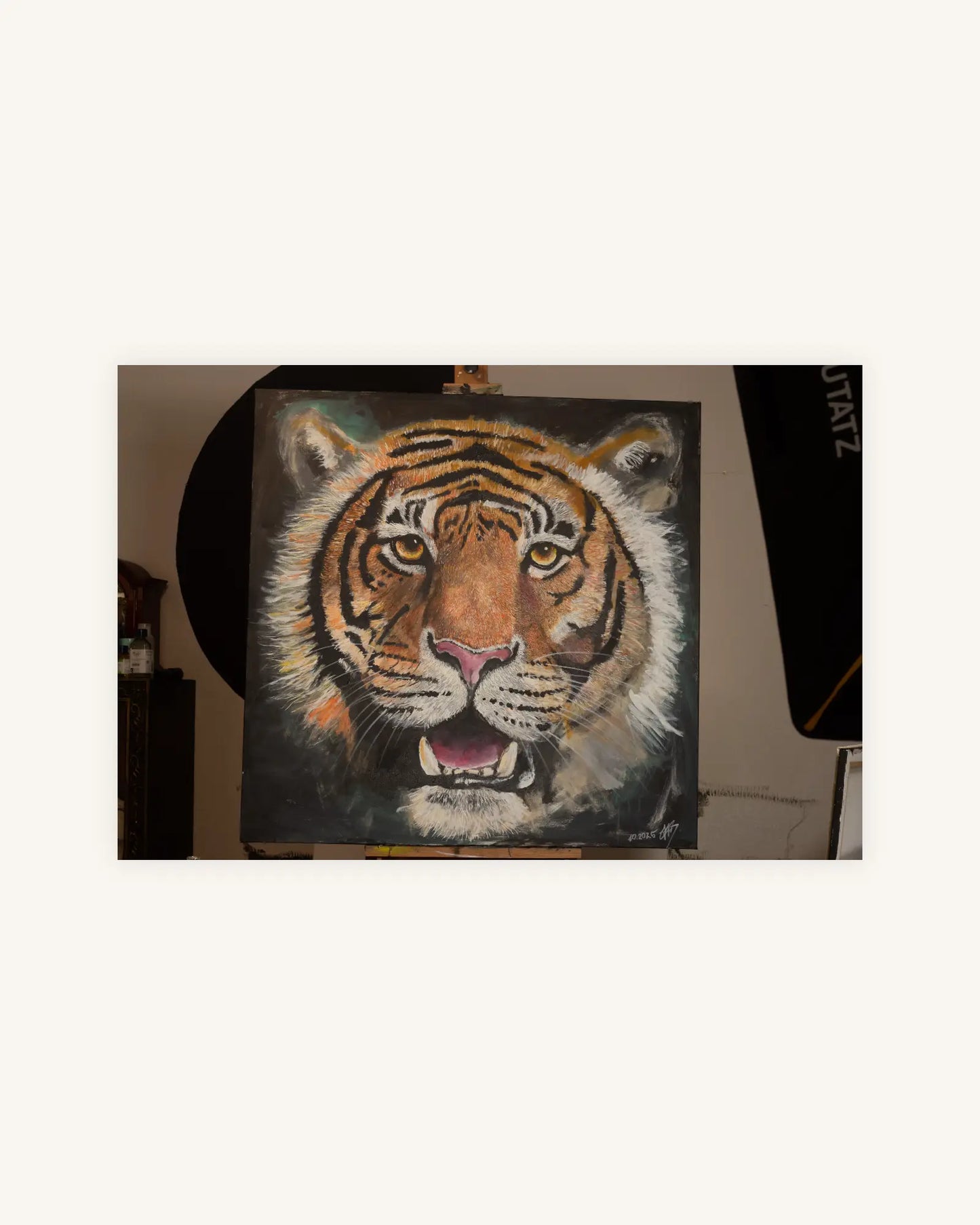 Alma do Tigre 3